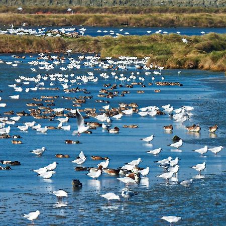 The Wind B&B Budai Bagian luar foto
