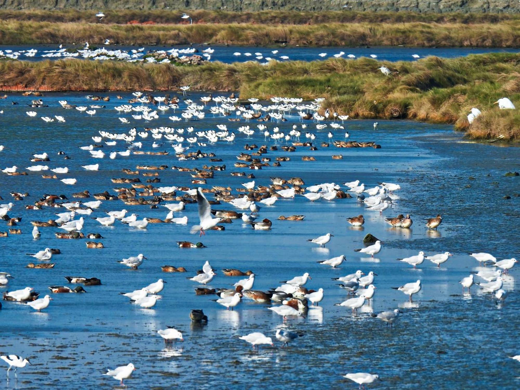 The Wind B&B Budai Bagian luar foto